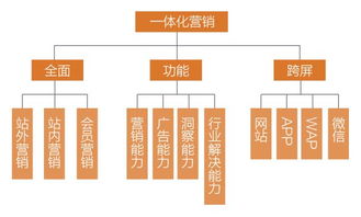 一體化營銷云系統(tǒng)服務(wù),對b2c營銷者的重要性